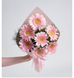 7 pembe gerbera buketi